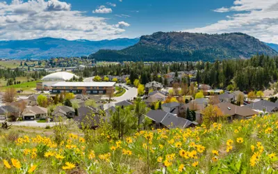 Yellow flowers grow on a hill above a neighbourhood nestled in the mountains. 