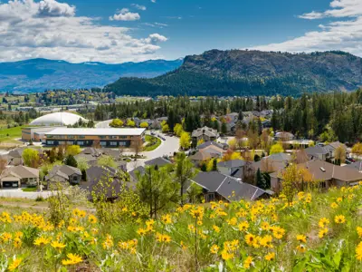 Yellow flowers grow on a hill above a neighbourhood nestled in the mountains. 