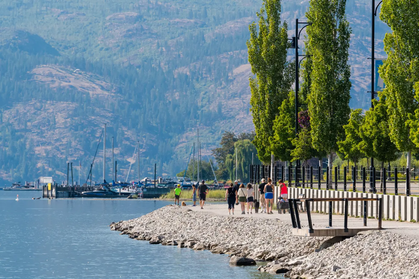 _DSC2154.jpg