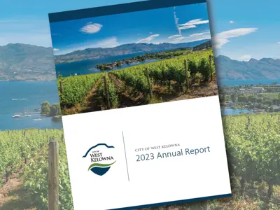 Annual-Report-Graphic_For-website.jpg